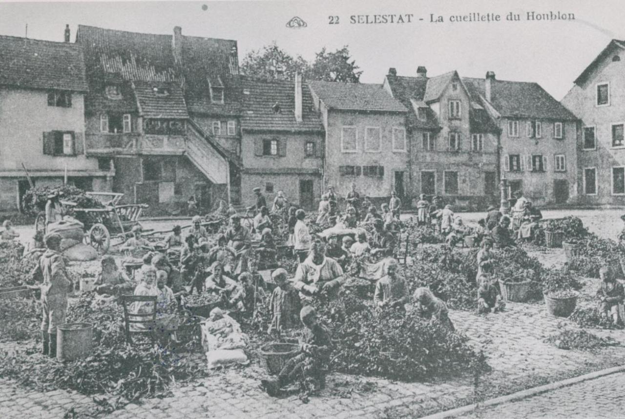 Au Bon Vieux Port Maison De Vacances Alsacienne A 10Mn De Ribeauville, Riquewihr Et Kaysersberg Sélestat Exteriör bild