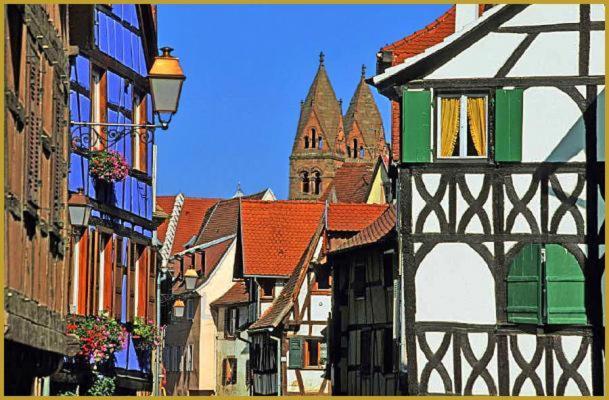 Au Bon Vieux Port Maison De Vacances Alsacienne A 10Mn De Ribeauville, Riquewihr Et Kaysersberg Sélestat Exteriör bild